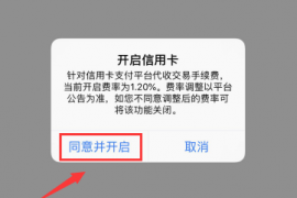 信用卡收款功能重磅上线,枫币返还享不停!