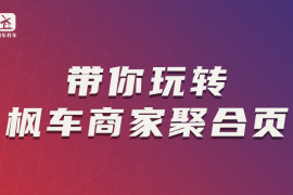 带你玩转枫车商家聚合页